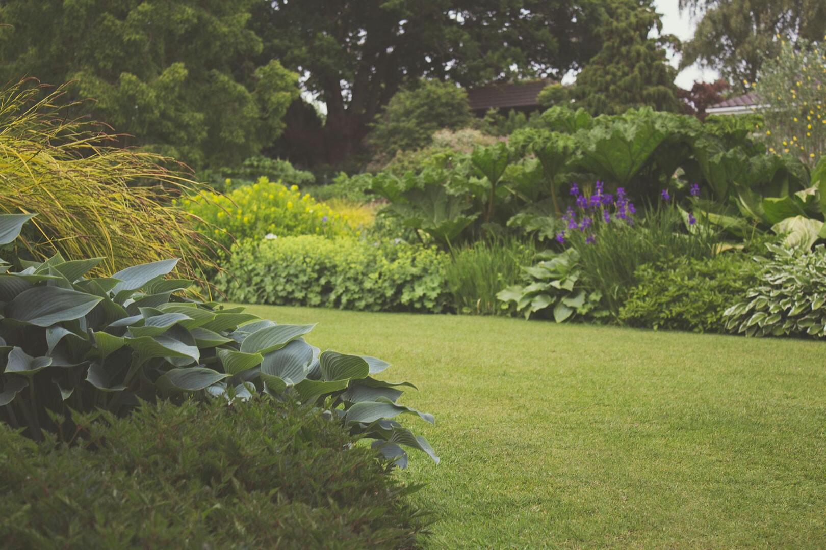 Das ganze Jahr über ein prächtiger Garten: Tipps für den grünen Daumen bei jedem Wetter